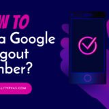 How to Get a Google Hangout Number?