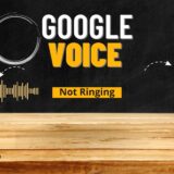 How to Fix Google Voice Not Ringing Problem?