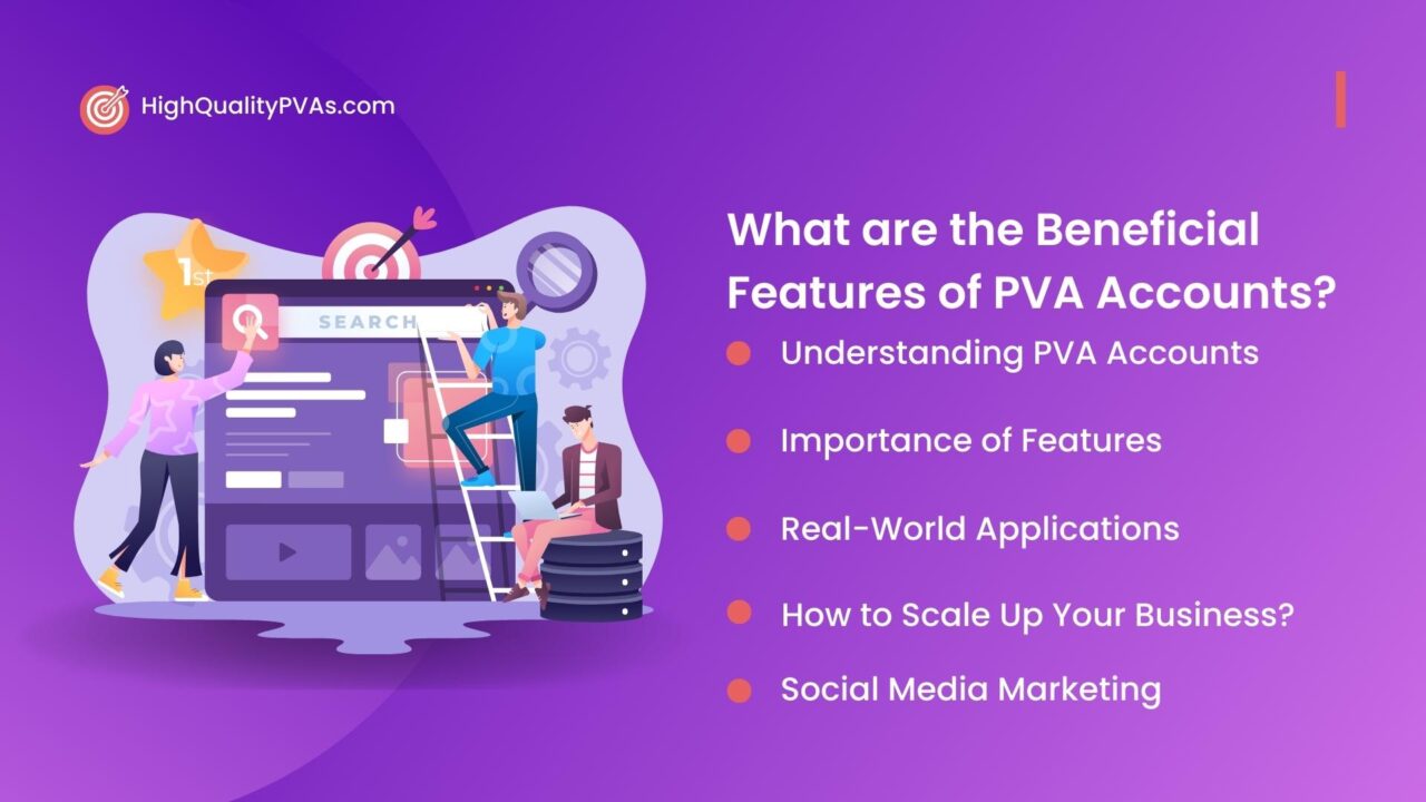 PVA Accounts Features