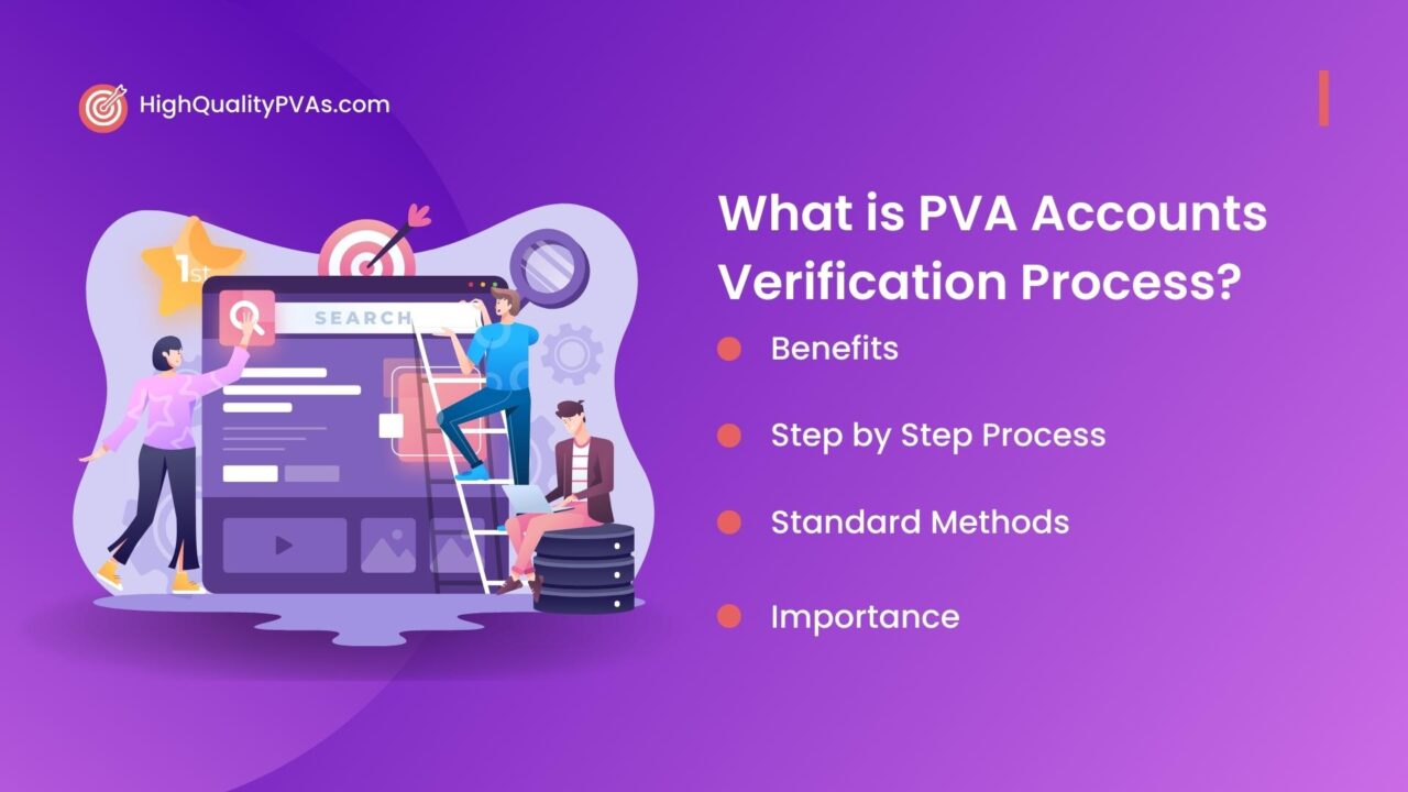 PVA Accounts Verification Process