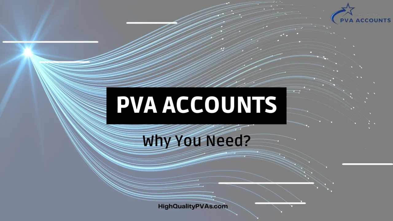 Why Do You Need PVA Accounts?